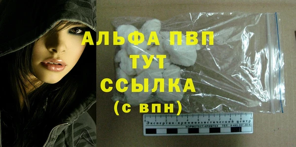 тгк Абаза
