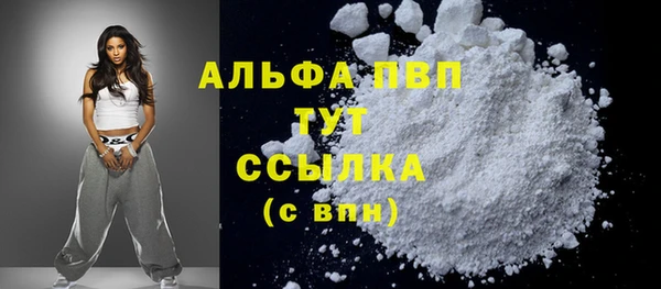 тгк Абаза