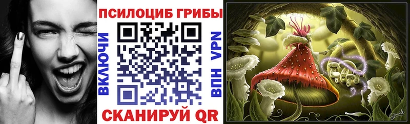 наркошоп  Абаза  Галлюциногенные грибы мухоморы 